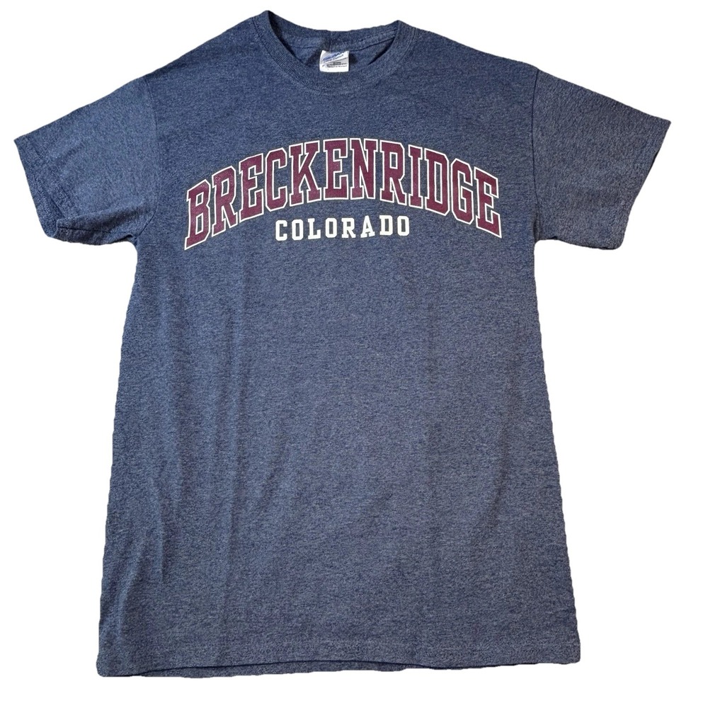 Gildan Breckenridge Colorado T-Shirt Mens S Gray Tee Unisex Pullover Casual